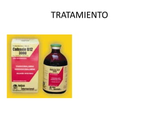 TRATAMIENTO
 