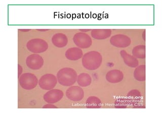 Fisiopatología
 