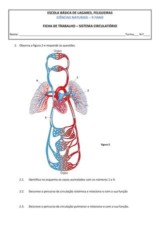 ESCOLA BÁSICA DE LAGARES, FELGUEIRAS
                                  CIÊNCIAS NATURAIS – 9.ºANO

                       FICHA DE TRABALHO – SISTEMA CIRCULATÓRIO

Nome: __________________________________________________________________Turma___ N.º____


   2. Observa a figura 2 e responde às questões.




                                                   1
                   4


                                                        2




                         3




                                                                   Figura 2




      2.1.   Identifica no esquema os vasos assinalados com os números 1 a 4.


      2.2.   Descreve o percurso da circulação sistémica e relaciona-o com a sua função



      2.3.   Descreve o percurso da circulação pulmonar e relaciona-o com a sua função.
 