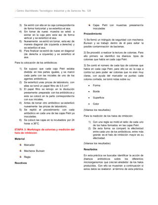  Centro Bachillerato Tecnológico Industrial y de Servicios No. 128 
3) Se estrió con ella en la caja correspondiente 
de forma horizontal y se esterilizo el asa. 
4) Sin tomar de nuevo muestra se volvió a 
estriar en la caja pero esta vez de forma 
vertical y se esterilizó el asa. 
5) Nuevamente se estrió sin tomar, esta vez de 
manera diagonal (de izquierda a derecha) y 
se esterilizo el asa. 
6) Para finalizar se estrió de nuevo en diagonal 
(de derecha a izquierda) y se esterilizo el 
asa. 
Para la colocación de los antibióticos: 
1) Se supuso que cada caja Petri estaba 
dividida en tres partes iguales, y se marcó 
cada parte con las iniciales de uno de los 
agentes antibióticos. 
2) Se esterilizó unas pinzas de laboratorio, con 
ellas se tomó un papel filtro de 0.5 cm2 
3) El papel filtro se remojo en la disolución 
previamente preparada con los antibióticos y 
este se colocó en la parte correspondiente 
con sus iniciales. 
4) Antes de tomar otro antibiótico se esterilizó 
nuevamente las pinzas de laboratorio. 
5) Se repitió el procedimiento con cada 
antibiótico en cada una de las cajas Petri ya 
inoculadas. 
6) Se colocó las cajas en la incubadora por 24 
horas a 36°C. 
ETAPA 3: Morfología de colonias y medición del 
halo de inhibición 
Material 
Marcador 
Mecheros Bunsen 
Regla 
Reactivos 
Cajas Petri con muestras previamente 
inoculadas 
Procedimiento 
1) Se formó un triángulo de seguridad con mecheros 
Bunsen y se trabajó dentro de él para evitar la 
posible contaminación de bacterias. 
2) Se procedió a realizar la lectura de colonias. Para 
ello primero se identificó los diversos tipos de 
colonias que había en cada caja Petri. 
3) Se contó el número de cada tipo de colonias que 
había en cada caja Petri, para ello se vio la caja a 
contra luz para poder ver colonias que no eran muy 
claras, con ayuda del marcador se punteo cada 
colonia contada, se tomó notas sobre su: 
 Forma 
 Borde 
 Superficie 
 Color 
(Véanse los resultados) 
Para la medición de los halos de inhibición: 
1) Con una regla se midió el radio de cada uno 
de los halos formados en las cajas Petri. 
2) De esta forma se comparó la efectividad 
entre cada uno de los antibióticos, entre más 
grande es el halo de inhibición mayor es su 
efectividad. 
(Véanse los resultados) 
Resultados 
En esta práctica se buscaba identificar la acción de 
diversos antibióticos sobre los diferentes 
microorganismos que crecían alrededor de los halos 
producidos. Con ello se muestran a continuación si 
estos datos se revelaron al término de esta práctica. 
 
