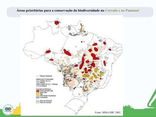 Áreas prioritárias para a conservação da biodiversidade no Cerrado e no Pantanal
Fonte: MMA/SBF, 2002.
 