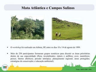 Mata Atlântica e Campos Sulinos
 O workshop foi realizado em Atibaia, SP, entre os dias 10 e 14 de agosto de 1999.
 Mais de 250 participantes formaram grupos temáticos para discutir as áreas prioritárias
dentro de sua especialidade (flora; invertebrados; répteis e anfíbios; aves; mamíferos;
peixes; fatores abióticos; pressão antrópica; planejamento regional; áreas protegidas;
estratégias de conservação; e educação ambiental).
Fonte: biogeografia-ufsm.blogspot.com
Fonte: brasilescola.com
Fonte: MMA/SBF, 2002.
 