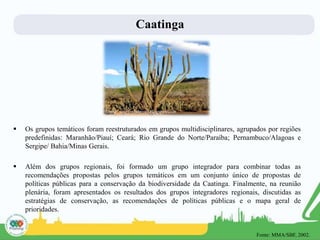 Caatinga
 Os grupos temáticos foram reestruturados em grupos multidisciplinares, agrupados por regiões
predefinidas: Maranhão/Piauí; Ceará; Rio Grande do Norte/Paraíba; Pernambuco/Alagoas e
Sergipe/ Bahia/Minas Gerais.
 Além dos grupos regionais, foi formado um grupo integrador para combinar todas as
recomendações propostas pelos grupos temáticos em um conjunto único de propostas de
políticas públicas para a conservação da biodiversidade da Caatinga. Finalmente, na reunião
plenária, foram apresentados os resultados dos grupos integradores regionais, discutidas as
estratégias de conservação, as recomendações de políticas públicas e o mapa geral de
prioridades.
Fonte: sosriosdobrasil.blogspot.com
Fonte: MMA/SBF, 2002.
 