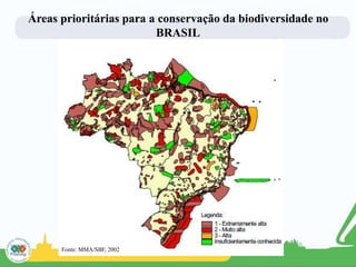 Áreas prioritárias para a conservação da biodiversidade no
BRASIL
Fonte: MMA/SBF, 2002
 