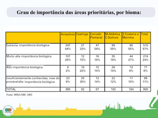 Grau de importância das áreas prioritárias, por bioma:
Fonte: MMA/SBF, 2002
 