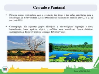 Cerrado e Pantanal
 Primeira região contemplada com a avaliação das áreas e das ações prioritárias para a
conservação da biodiversidade. A Fase Decisória foi realizada em Brasília, entre 23 e 27 de
março de 1998.
 Contemplação dos seguintes grupos biológicos e não-biológicos: vegetação e flora,
invertebrados, biota aquática, répteis e anfíbios, aves, mamíferos, fatores abióticos,
socioeconomia e desenvolvimento e Unidades de Conservação.
Fonte: infoescola.com Fonte: siscom.ibama.gov.br
Fonte: MMA/SBF, 2002.
 