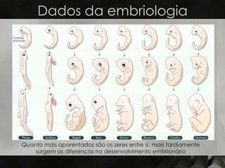 Dados da embriologia




Quanto mais aparentados são os seres entre si, mais tardiamente
    surgem as diferenças no desenvolvimento embrionário
 