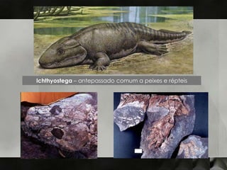 Ichthyostega – antepassado comum a peixes e répteis
 