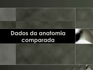 Dados da anatomia
   comparada
 