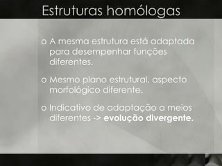 Estruturas homólogas

o A mesma estrutura está adaptada
  para desempenhar funções
  diferentes.

o Mesmo plano estrutural, aspecto
  morfológico diferente.

o Indicativo de adaptação a meios
  diferentes -> evolução divergente.
 