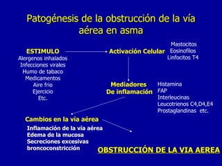 Patogénesis de la obstrucción de la vía aérea en asma ESTIMULO Alergenos inhalados Infecciones virales Humo de tabaco Medicamentos Aire frio Ejercicio Etc. Activación Celular Mastocitos Eosinofilos Linfocitos T4 Mediadores  De inflamación Histamina FAP Interleucinas Leucotrienos C4,D4,E4 Prostaglandinas  etc. Cambios en la vía aérea Inflamación de la vía aérea Edema de la mucosa Secreciones excesivas broncoconstricción OBSTRUCCIÓN DE LA VIA AEREA 