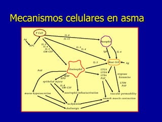 Mecanismos celulares en asma 