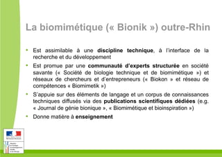La biomimétique (« Bionik ») outre-Rhin
•  Est assimilable à une discipline technique, à l’interface de la
recherche et du développement
•  Est promue par une communauté d’experts structurée en société
savante (« Société de biologie technique et de biomimétique ») et
réseaux de chercheurs et d’entrepreneurs (« Biokon » et réseau de
compétences « Biomimetik »)
•  S’appuie sur des éléments de langage et un corpus de connaissances
techniques diffusés via des publications scientifiques dédiées (e.g.
« Journal de génie bionique », « Biomimétique et bioinspiration »)
•  Donne matière à enseignement
 