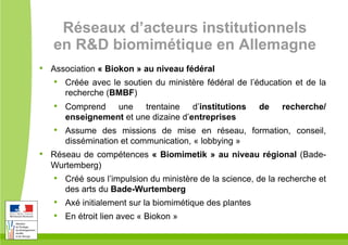 Réseaux d’acteurs institutionnels
en R&D biomimétique en Allemagne
•  Association « Biokon » au niveau fédéral
•  Créée avec le soutien du ministère fédéral de l’éducation et de la
recherche (BMBF)
•  Comprend une trentaine d’institutions de recherche/
enseignement et une dizaine d’entreprises
•  Assume des missions de mise en réseau, formation, conseil,
dissémination et communication, « lobbying »
•  Réseau de compétences « Biomimetik » au niveau régional (Bade-
Wurtemberg)
•  Créé sous l’impulsion du ministère de la science, de la recherche et
des arts du Bade-Wurtemberg
•  Axé initialement sur la biomimétique des plantes
•  En étroit lien avec « Biokon »
 