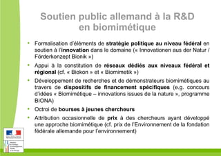 Soutien public allemand à la R&D
en biomimétique
•  Formalisation d’éléments de stratégie politique au niveau fédéral en
soutien à l’innovation dans le domaine (« Innovationen aus der Natur /
Förderkonzept Bionik »)
•  Appui à la constitution de réseaux dédiés aux niveaux fédéral et
régional (cf. « Biokon » et « Biomimetik »)
•  Développement de recherches et de démonstrateurs biomimétiques au
travers de dispositifs de financement spécifiques (e.g. concours
d’idées « Biomimétique – innovations issues de la nature », programme
BIONA)
•  Octroi de bourses à jeunes chercheurs
•  Attribution occasionnelle de prix à des chercheurs ayant développé
une approche biomimétique (cf. prix de l’Environnement de la fondation
fédérale allemande pour l’environnement)
 