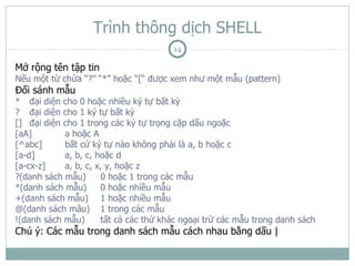 Trình thông dịch SHELL
                                       14

Mở rộng tên tập tin
Nếu một từ chứa “?” “*” hoặc “[“ được xem như một mẫu (pattern)
Đối sánh mẫu
* đại diện cho 0 hoặc nhiều ký tự bất kỳ
? đại diện cho 1 ký tự bất kỳ
[] đại diện cho 1 trong các ký tự trọng cặp dấu ngoặc
[aA]        a hoặc A
[^abc]      bất cứ ký tự nào không phải là a, b hoặc c
[a-d]       a, b, c, hoặc d
[a-cx-z]    a, b, c, x, y, hoặc z
?(danh sách mẫu)      0 hoặc 1 trong các mẫu
*(danh sách mẫu)      0 hoặc nhiều mẫu
+(danh sách mẫu) 1 hoặc nhiều mẫu
@(danh sách mâu) 1 trong các mẫu
!(danh sách mẫu)      tất cả các thứ khác ngoại trừ các mẫu trong danh sách
Chú ý: Các mẫu trong danh sách mẫu cách nhau bằng dấu |
 