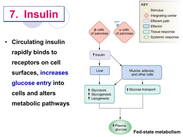 9 blood glucose | PDF
