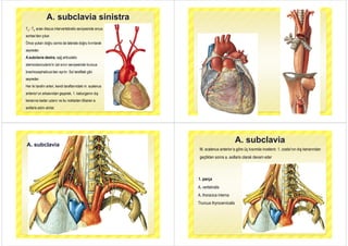 A. subclavia sinistra
T3 - T4 arası discus intervertebralis seviyesinde arcus
t ’d kaortae’den çıkar.
Önce yukarı doğru sonra da laterale doğru kıvrılarak
seyreder.
A.subclavia dextra; sağ articulatio
sternoclavicularis’in üst sınırı seviyesinde truncus
brachiocephalicus’dan ayrılır. Sol taraftaki gibi
seyreder.
Her iki tarafın arteri, kendi taraflarındaki m. scalenus
anterior’un arkasından geçerek, 1. kaburganın dış
kenarına kadar uzanır ve bu noktadan itibaren a.
axillaris adını alırlar.
A subclaviaA. subclavia
A. subclavia
M. scalenus anterior’a göre üç kısımda incelenir. 1. costa’nın dış kenarından
geçtikten sonra a axillaris olarak devam edergeçtikten sonra a. axillaris olarak devam eder
1. parça
A. vertebralis
A. thoracica interna
Truncus thyrocervicalis
 