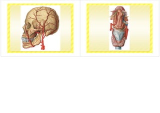 9 boyunkoku-dis-3-2015