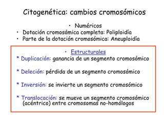 Citogenética: cambios cromosómicos
• Numéricos
• Dotación cromosómica completa: Poliploidía
• Parte de la dotación cromosómica: Aneuploidía
• Estructurales
* Duplicación: ganancia de un segmento cromosómico
* Deleción: pérdida de un segmento cromosómico
* Inversión: se invierte un segmento cromosómico
* Translocación: se mueve un segmento cromosómico
(acéntrico) entre cromosomas no-homólogos
 