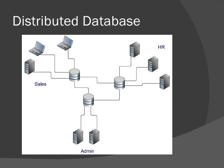 what is distributed database system explain in detail