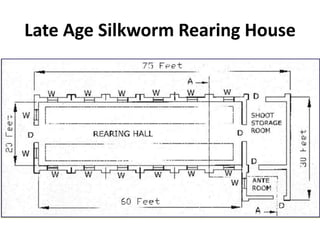 9 chapter silkworm rearing plan , rearing house plan and ...