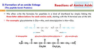 9-chem_109_amino_acids_peptides_and_proteins_modified_1.ppt