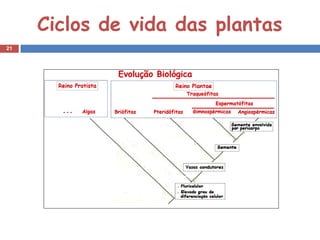 Ciclos de vida das plantas
21




                     M
 