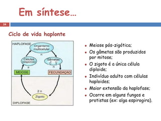Em síntese…
24


     Ciclo de vida haplonte
                              Meiose pós-zigótica;
                              Os gâmetas são produzidos
                              por mitose;
                              O zigoto é a única célula
                              diploide;
                              Indivíduo adulto com células
                              haploides;
                              Maior extensão da haplofase;
                              Ocorre em alguns fungos e
                              protistas (ex: alga espirogira).
 