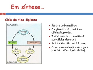 Em síntese…
25


     Ciclo de vida diplonte
                              Meiose pré-gamética;
                              Os gâmetas são as únicas
                              células haploides;
                              Indivíduo adulto constituído
                              por células diploides;
                              Maior extensão da diplofase;
                              Ocorre em animais e em alguns
                              protistas (Ex: alga bodelha).
 