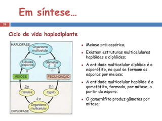 Em síntese…
26


     Ciclo de vida haplodiplonte
                                   Meiose pré-espórica;
                                   Existem estruturas multicelulares
                                   haplóides e diplóides;
                                   A entidade multicelular diplóide é o
                                   esporófito, no qual se formam os
                                   esporos por meiose;
                                   A entidade multicelular haplóide é o
                                   gametófito, formado, por mitose, a
                                   partir do esporo;
                                   O gametófito produz gâmetas por
                                   mitose;
 