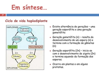 Em síntese…
27


     Ciclo de vida haplodiplonte
                                   Existe alternância de gerações – uma
                                   geração esporófita e uma geração
                                   gametófita
                                   Geração gametófita (n) – resulta do
                                   desenvolvimento de um esporo (n) e
                                   termina com a formação de gâmetas
                                   (n);
                                   Geração esporófita (2n) – inicia-se
                                   com o desenvolvimento do zigoto (2n)
                                   e termina aquando da formação dos
                                   esporos;
                                   Ocorre em plantas e em alguns
                                   protistas.
 