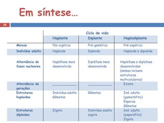 Em síntese…
28


                                           Ciclo de vida
                        Haplonte            Diplonte             Haplodiplonte
     Meiose             Pós-zigótica        Pré-gamética         Pré-espórica
     Indivíduo adulto   Haploide            Diploide             Haploide e dipoóide


     Alternância de     Haplófase mais      Diplófase mais     Haplofase e diplofase
     fases nucleares    desenvolvida        desenvolvida       desenvolvidas
                                                               (ambas incluem
                                                               estruturas
                                                               multicelulares)
     Alternância de     ____________        ____________         Existe
     gerações
     Estruturas         Indivíduo adulto    Gâmetas              Ind. adulto
     haploides          Gâmetas                                  (gametófito)
                                                                 Esporos
                                                                 Gâmetas
     Estruturas         Zigoto              Indivíduo adulto     Ind. adulto
     diploides                              zigoto               (esporófito)
                                                                 Zigoto
 