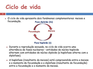 Ciclo de vida
3


    O ciclo de vida apresenta dois fenómenos complementares: meiose e
    fecundação.




     Durante a reprodução sexuada, no ciclo de vida ocorre uma
     alternância de fases nucleares – entidades de núcleo haploide
     alternam com entidades de núcleo diploide (a haplofase alterna com a
     diplofase).
     A haplofase (resultante da meiose) está compreendida entre a meiose
     e o momento da fecundação e a diplofase (resultante da fecundação)
     entre a fecundação e o momento da meiose.
 