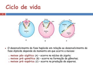 Ciclo de vida
4




    O desenvolvimento da fase haploide em relação ao desenvolvimento da
    fase diploide depende do momento em que ocorre a meiose:
      meiose pós-zigótica (A) – ocorre no núcleo do zigoto;
      meiose pré-gamética (B) – ocorre na formação de gâmetas;
      meiose pré-espórica (C) – ocorre na produção de esporos.
 
