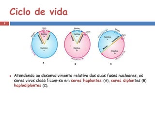 Ciclo de vida
6




    Atendendo ao desenvolvimento relativo das duas fases nucleares, os
    seres vivos classificam-se em seres haplontes (A), seres diplontes (B)
    haplodiplontes (C).
 