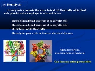 ※ Hemolysin
Hemolysin is a exotoxin that cause lysis of red blood cells, white blood
cells, platelet and macrophages in vitro and in vivo.
Alpha-hemolysin,
a transmembrane heptamer
αhemolysin: a broad spectrum of eukaryotic cells
βhemolysin: a broad spectrum of eukaryotic cells
γhemolysin: white blood cells
δhemolysin: play a role in S.aureus diarrheal diseases.
Can increase cation permeability
 
