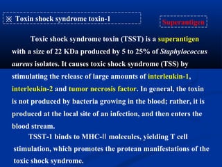※ Toxin shock syndrome toxin-1
Toxic shock syndrome toxin (TSST) is a superantigen
with a size of 22 KDa produced by 5 to 25% of Staphylococcus
aureus isolates. It causes toxic shock syndrome (TSS) by
stimulating the release of large amounts of interleukin-1,
interleukin-2 and tumor necrosis factor. In general, the toxin
is not produced by bacteria growing in the blood; rather, it is
produced at the local site of an infection, and then enters the
blood stream.
Superantigen
TSST-1 binds to MHC- molecules, yielding T cellⅡ
stimulation, which promotes the protean manifestations of the
toxic shock syndrome.
 