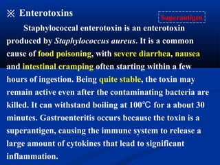 ※ Enterotoxins Superantigen
Staphylococcal enterotoxin is an enterotoxin
produced by Staphylococcus aureus. It is a common
cause of food poisoning, with severe diarrhea, nausea
and intestinal cramping often starting within a few
hours of ingestion. Being quite stable, the toxin may
remain active even after the contaminating bacteria are
killed. It can withstand boiling at 100 for a about 30℃
minutes. Gastroenteritis occurs because the toxin is a
superantigen, causing the immune system to release a
large amount of cytokines that lead to significant
inflammation.
 