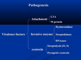 Pathogenesis
Virulence factors
exotoxin
Invasive enzyme
Hyaluronidase
Streptokinase
DNAases
Streptolysin (O, S)
Pyrogenic exotoxin
LTA
M protein
Attachment
 