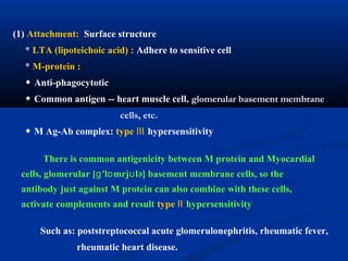 (1) Attachment: Surface structure
* LTA (lipoteichoic acid) : Adhere to sensitive cell
* M-protein :
◆ Anti-phagocytotic
◆ Common antigen -- heart muscle cell, glomerular basement membrane
cells, etc.
◆ M Ag-Ab complex: type Ⅲ hypersensitivity
Such as: poststreptococcal acute glomerulonephritis, rheumatic fever,
rheumatic heart disease.
There is common antigenicity between M protein and Myocardial
cells, glomerular [ 'l mrj lə] basement membrane cells, so theɡ ɒ ʊ
antibody just against M protein can also combine with these cells,
activate complements and result type Ⅱ hypersensitivity
 