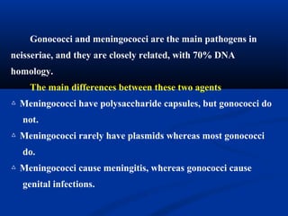 Gonococci and meningococci are the main pathogens in
neisseriae, and they are closely related, with 70% DNA
homology.
The main differences between these two agents
△ Meningococci have polysaccharide capsules, but gonococci do
not.
△ Meningococci rarely have plasmids whereas most gonococci
do.
△ Meningococci cause meningitis, whereas gonococci cause
genital infections.
 