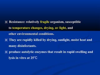 ※※ Resistance: relativelyResistance: relatively fragilefragile organism, susceptibleorganism, susceptible
toto temperature changes, drying, uv light,temperature changes, drying, uv light, andand
other environmental conditions.other environmental conditions.
※ They are rapidly killed by drying, sunlight, moist heat and
many disinfectants.
※ produce autolytic enzymes that result in rapid swelling and
lysis in vitro at 25℃
 