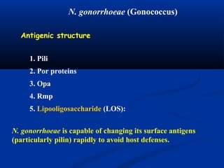 1. Pili
2. Por proteins
3. Opa
4. Rmp
5. Lipooligosaccharide (LOS):
Antigenic structure
N. gonorrhoeae is capable of changing its surface antigens
(particularly pilin) rapidly to avoid host defenses.
N. gonorrhoeae (Gonococcus)
 