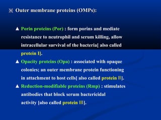 ▲ Porin proteins (Por) : form porins and mediate
resistance to neutrophil and serum killing, allow
intracellular survival of the bacteria[ also called
protein I].
▲ Opacity proteins (Opa) : associated with opaque
colonies; an outer membrane protein functioning
in attachment to host cells[ also called protein Ⅱ].
▲ Reduction-modifiable proteins (Rmp) : stimulates
antibodies that block serum bactericidal
activity [also called protein Ⅲ].
※※ Outer membrane proteins (OMPs):Outer membrane proteins (OMPs):
 