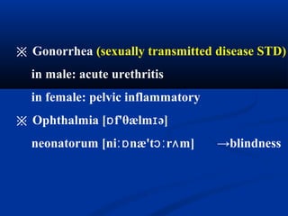 ※ Gonorrhea (sexually transmitted disease STD)
in male: acute urethritis
in female: pelvic inflammatory
※ Ophthalmia [ f'θælm ə]ɒ ɪ
neonatorum [ni næ't r m]ːɒ ɔː ʌ →blindness
 