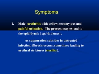 Symptoms
1. Male: urethritis with yellow, creamy pus and
painful urination. The process may extend to
the epididymis [ epə'd dəm s]ˌ ɪ ɪ .
As suppuration subsides in untreated
infection, fibrosis occurs, sometimes leading to
urethral strictures (sterility).
 