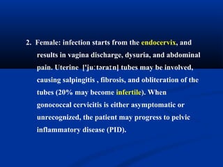 2. Female: infection starts from the endocervix, and
results in vagina discharge, dysuria, and abdominal
pain. Uterine ['ju təra n]ː ɪ tubes may be involved,
causing salpingitis , fibrosis, and obliteration of the
tubes (20% may become infertile). When
gonococcal cervicitis is either asymptomatic or
unrecognized, the patient may progress to pelvic
inflammatory disease (PID).
 