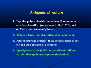 1. Capsular polysaccharide: more than 13 serogroups
have been identified (serogroups A, B, C, X, Y, and
W135 are most commonly isolated).
2. Pili (allow bacterial colonization of nasopharynx).
3. Outer membrane proteins: these are analogues to the
Por and Opa proteins of gonococci.
4. Lipooligosaccharide (LOS): responsible for diffuse
vascular damage in meningococcal infections.
Antigenic structure
 