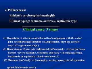2. Pathogenesis:2. Pathogenesis:
Epidemic cerebrospinal meningitisEpidemic cerebrospinal meningitis
Clinical typing: common, outbreak, septicemic typeClinical typing: common, outbreak, septicemic type
(1) Organisms(1) Organisms →→ attach to epithelial cells of nasoparynxnasoparynx with the aid of
pili ( nasopharyngeal infection : asymptomatic , most are carriers,( nasopharyngeal infection : asymptomatic , most are carriers,
only 2~3% go to next stage )only 2~3% go to next stage )
(2) Blood stream <fever, skin ecchymosis[ ekə'mo s s] >ˌ ʊ ɪ(2) Blood stream <fever, skin ecchymosis[ ekə'mo s s] >ˌ ʊ ɪ →→cross the braincross the brain
barrier <severe headache ,vomitting, stiff neck > (meningococcemia.barrier <severe headache ,vomitting, stiff neck > (meningococcemia.
bacteremia or septicemia. blood contain cocci )bacteremia or septicemia. blood contain cocci )
(3) Meninges [mə'n nd i z] (meningitis. meninges pyogenic inflammation.ɪ ʒ ː(3) Meninges [mə'n nd i z] (meningitis. meninges pyogenic inflammation.ɪ ʒ ː
spinal fluid contain cocci )spinal fluid contain cocci )
Clinical cause: 3 stagesClinical cause: 3 stages
 